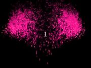 大神三哥最新作-4p震撼来袭喜欢驯服少妇的我又来了-720p高清版