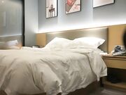 锤子探花 爆干丝袜美腿小人妻舔菊花01