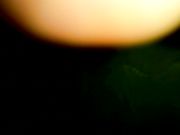 迷奸特写女同学任我双洞换插