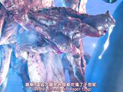 娜美大酒店系列珍藏版