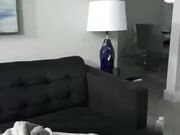 金发美女性感的淫穴勾引大鸡巴的冲动暴插侧入