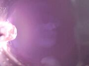 刘涛 熟女无码大乱交