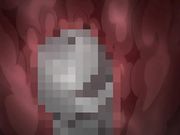 [桜都字幕组][720P][せるふぃっしゅ]くの一牡丹 その一