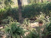 Public Creampie W_ Squirt and Deepthroat! - Amateur Cou