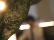 裸体模特NTR令人震惊的妻子与老板羞辱的出轨视频小野りんか 2