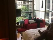 携黑人兄弟3P燕京平面嫩模轮番上阵爆操，场面淫荡刺激