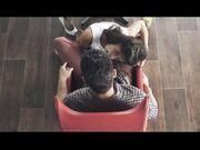 亚历克斯 莫雷蒂 拉娜 西摩