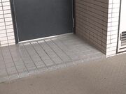 这是最强的 什么是最强的 脸 大胸