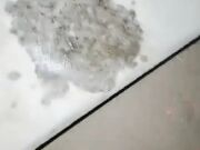 大四学姐大奶妹子夜晚户外啪啪 路边脱光光口交翘屁股抽插猛操