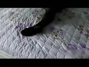 老公在隔壁打麻将我在房间里偷情