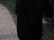 网红浆果儿 车内全裸搭讪路人四处问路