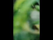 白嫩豪乳神仙姐姐户外凉亭碰到个老司机上来就给舔逼然后再约到树林站着草