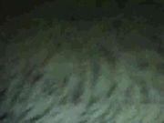 干到大汗淋漓下面出白浆