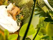 大奶美眉开房约炮有点矜持