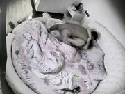 干完休息时又被扛起狠狠操了一次