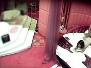 娇小的身材戳起来就很有快感