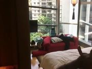 离异富姐和两个彪悍的黑人大战