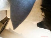 摄影大师最新作品极品巨乳高颜值女神小奶油被大鸡巴后人馒头逼