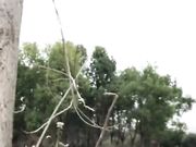 身材丰满的女主播户外脱裤子漏奶漏逼尿尿