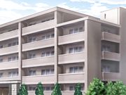 沉沦于性爱带来的快感中的处女 沉沦印记 动画版