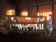 ジャンキ牛奶姐妹ー 姉妹編 ボリューム 第一话