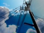 ぼくのぴこ シリーズぴこんは水泳