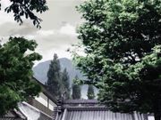 山姫の実 第二巻 美乳熟女ととことんヤ真砂絵