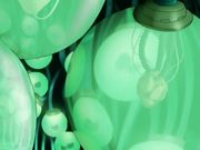 レイZERO  特務捜査官を捕えよ!中文字幕