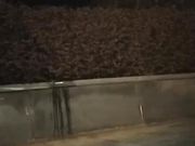 气质美女半夜故意不穿内衣到广场附近勾引路人啪啪