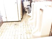 大屌男溷用公厕偶遇醉酒白嫩巨乳少妇扒衣脱裤各种姿势啪