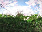 [Tech3d] 公園で美しい少女露出SEX