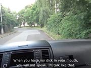 Interview With A Devoted Assistant 车震女助理