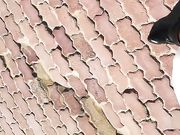 包皮哥海边艳遇离异富姐大冷天直接脱下裤子就在户外无套啪啪