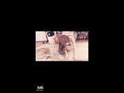 温泉中出  粉丝狂乱派对3男对2女 无套肛交