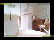 泰籍华裔美女Panisara 和男朋友性爱视频流出