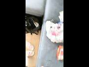 极品小萝莉午后沙发激情跪舔J8人骚逼紧