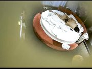 精品特色主题酒店偷拍农民工模样小伙带着乡下女友开洋荤酒店开房啪啪精力旺盛干了几次