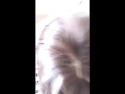 大奶黑丝骚少妇，激情啪啪69活真好，多姿势爆草这叫声真销魂