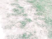 网红刘婷剧情演绎勾引无事溜达的大叔路边草地上野战还没射被骑马路过的人破坏了