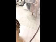 大奶性感妹子被各种姿势操到喷水