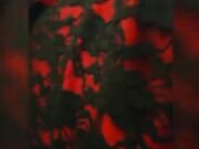 台湾SWAG明星女神『娜娜』万圣节特别版-齐天大圣激战血衣女 无套抽插爆操嫩B