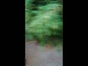 深夜公园《Avove》也不怕蚊子多 淫荡小情侣挑战户外 无毛嫩穴无内射干爽